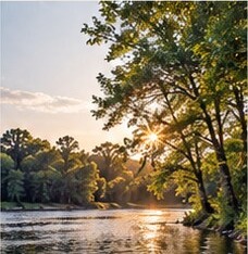 Illustrative riverbank scene